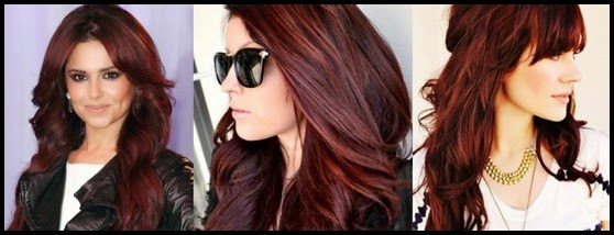 dark brown hair with red tint color photo - 4
