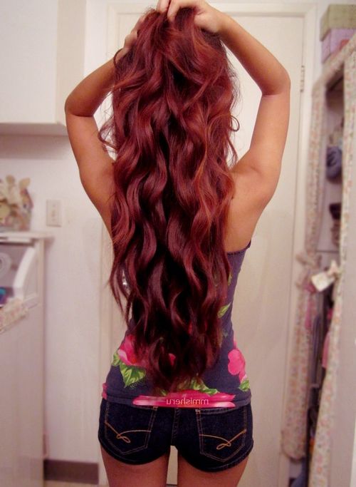 light burgundy hair color photo - 2