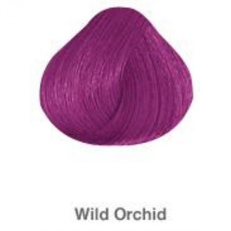 wild orchid hair color photo - 1